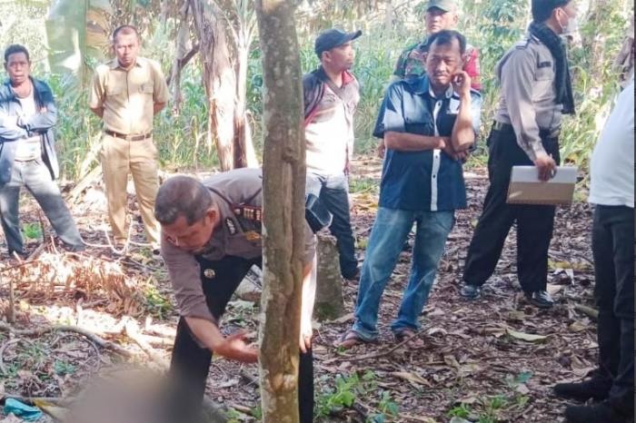 4 Cara Mengolah Daging Kambing agar Tidak Bau Prengus Daging kambing di Girsang Sipangan Bolon, Simalungun