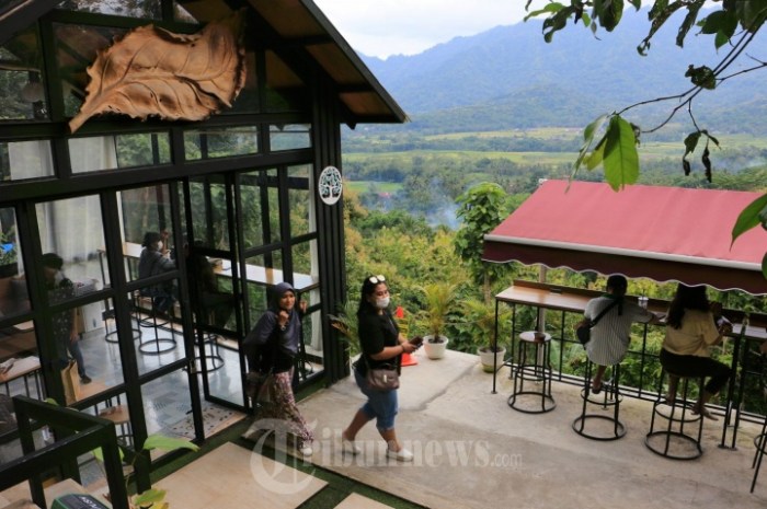 Ayam ternak di Dukun, Magelang