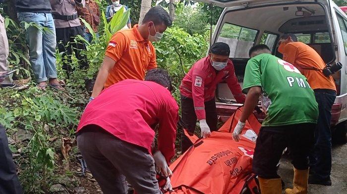 Ayam ternak di Girimulyo, Kulon Progo