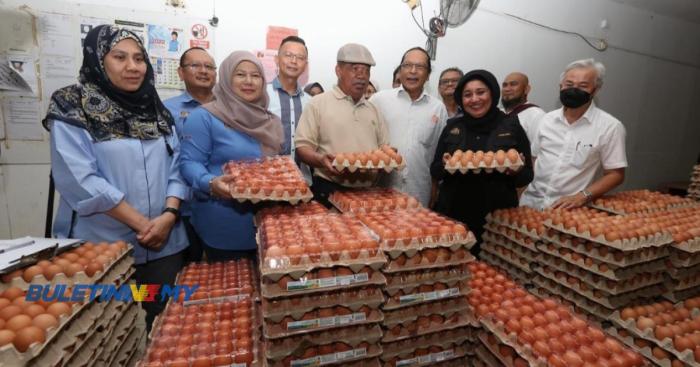 Ternak ayam pedaging di Binduriang, Rejang Lebong