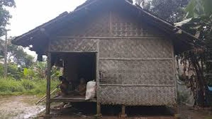 Daun penggemuk ayam di Muncang, Kab. Lebak