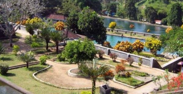 Daun penggemuk ayam di Narmada, Lombok Barat