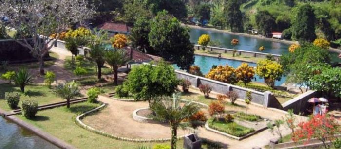 Daun penggemuk ayam di Narmada, Lombok Barat