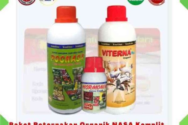 Daun penggemuk ayam di Tarup, Kab. Pegunungan Bintang