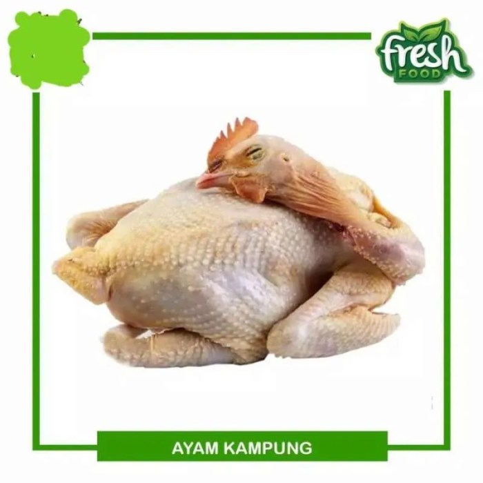 Harga ayam kampung potong di Bogor Barat, Kota Bogor