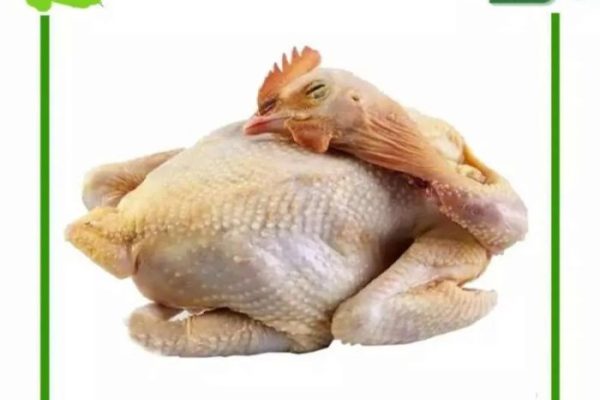 Harga ayam kampung potong di Banjaranyar, Ciamis