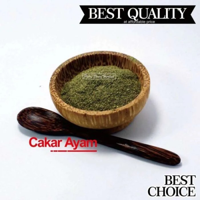 Promo Daun Cakar Ayam Bubuk 100 Gram - Ground Spikemoss Powder ... Promo Daun Cakar Ayam Bubuk 100 Gram - Ground Spikemoss Powder ...