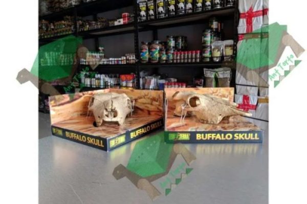 Promo kandang kura kura darat box kura kura sulcata ukuran sedang ...