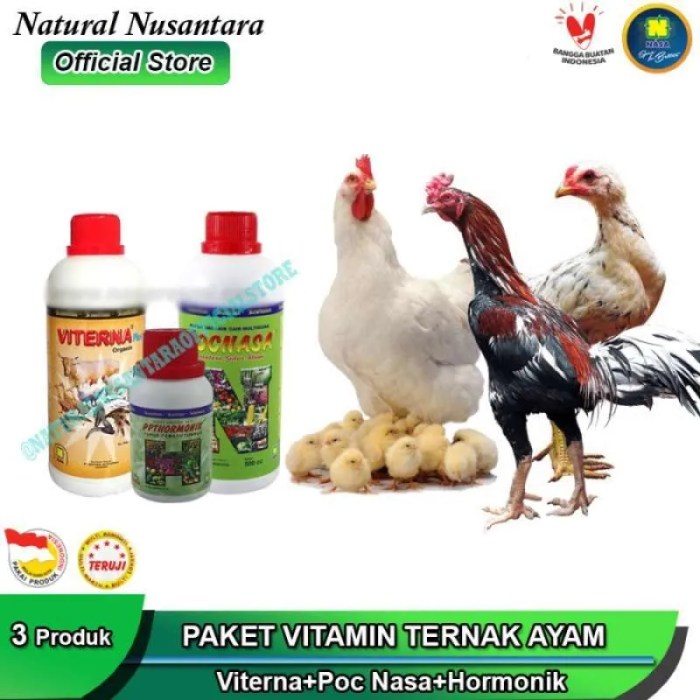 Daun penggemuk ayam di Elar Selatan, Manggarai Timur