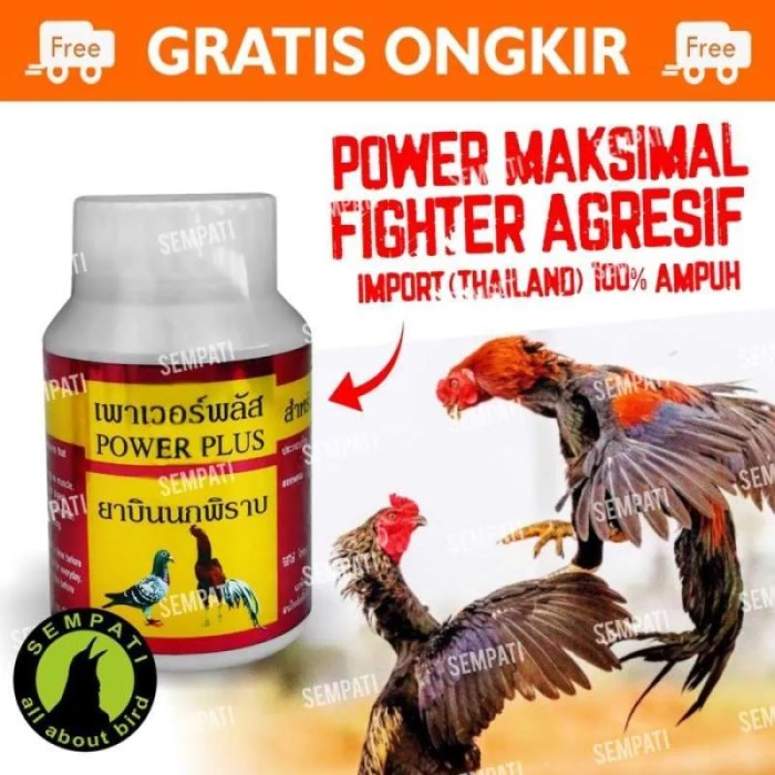 Daun penggemuk ayam di Ampenan, Kota Mataram