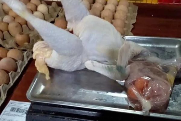 Ayam afkir di Cikampek, Karawang