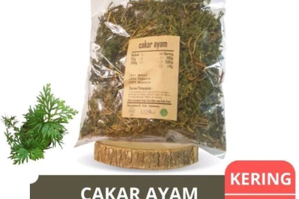 Daun penggemuk ayam di Raba, Kota Bima