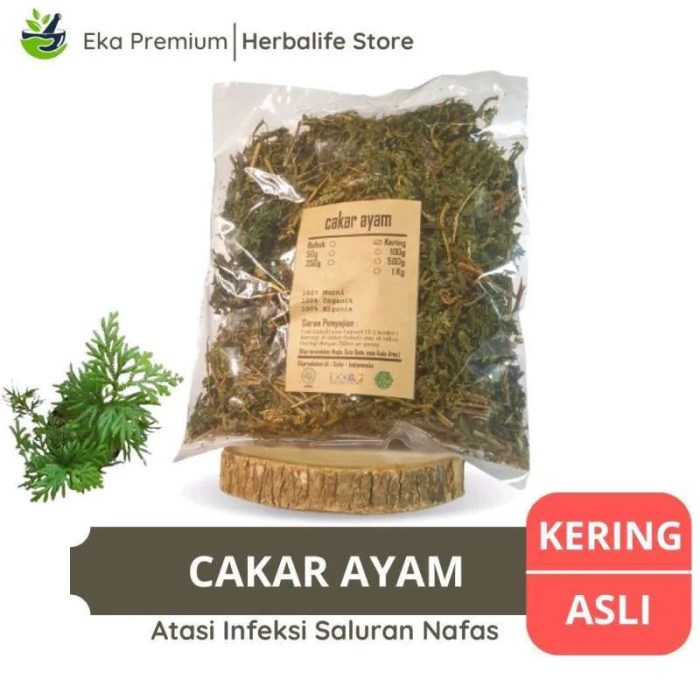 Daun penggemuk ayam di Raba, Kota Bima