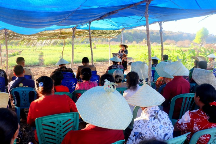 Bupati Rote Ndao Menyerahkan Bantuan Mesin Pompa Air dan Alat Semprot ... Ternak ayam petelur di Landu Leko, Rote Ndao