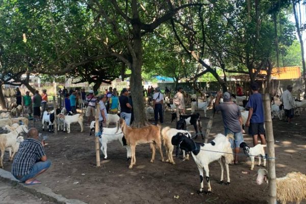 Daging kambing di Pasar Rebo, Jakarta Timur