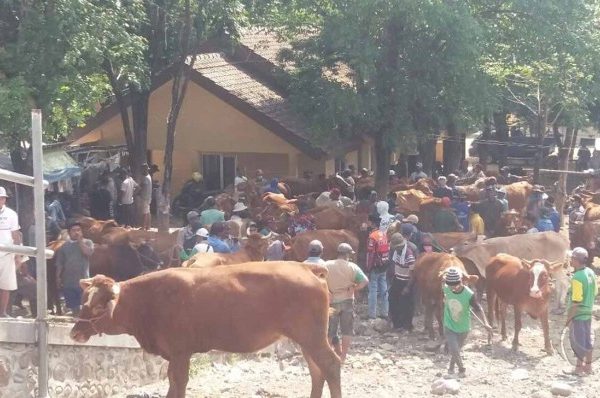 Daging kambing di Mangaran, Situbondo