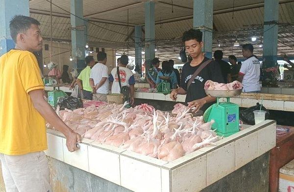 Harga ayam kampung potong di Karya Penggawa, Pesisir Barat