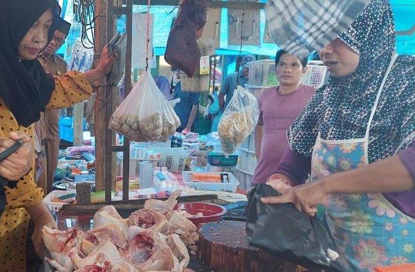 Ayam layer di Rimbo Ulu, Kabupaten Tebo
