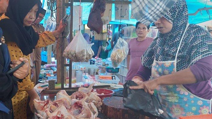 Ayam layer di Rimbo Ulu, Kabupaten Tebo