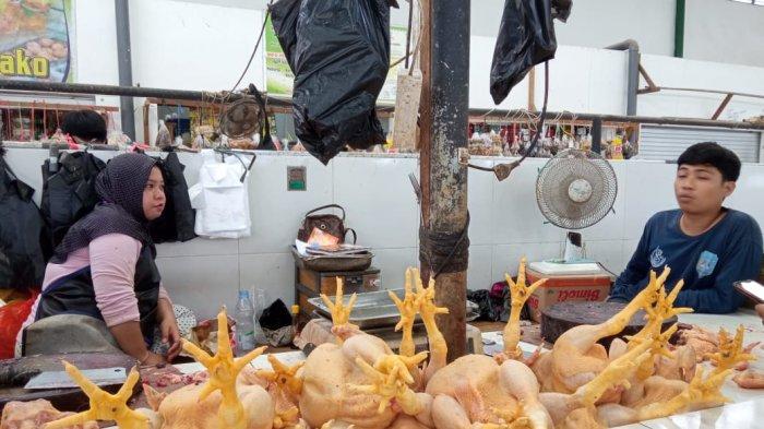 Stok Melimpah, Harga Ayam Potong di Tanjung Selor Turun Jadi Rp 35 Ribu ...