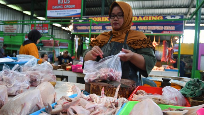 Jelang Tahun Baru, Harga Daging Ayam di Tanjab Timur Masih Stabil ... Ayam arab di Pasar Rebo, Jakarta Timur