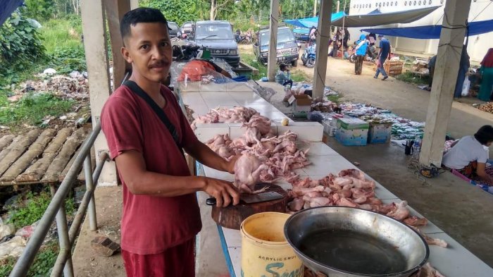 Harga Daging Ayam di Jambi 'Meroket', Capai Rp 60 Ribu Per Kg, Ini ... Ayam layer di Jambi Timur, Kota Jambi