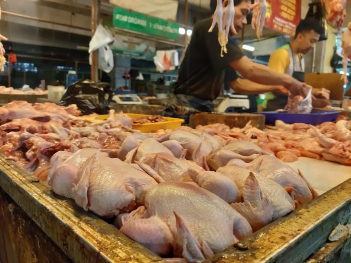 Pedagang Keluhkan Harga Ayam Potong yang Terus Meroket, Omset Harian Anjlok Harga ayam kampung potong di Tulang Bawang Udik, Tulang Bawang Barat