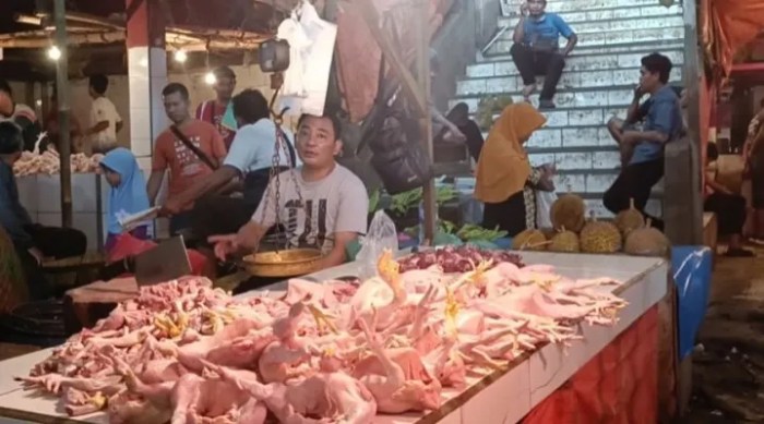 Pemilik Warung Nasi di Lebak Banten, Keluhkan Mahalnya Harga Daging ... Daun penggemuk ayam di Lebak Gedong, Kab. Lebak