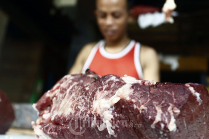 Daging kambing di Setiabudi, Jakarta Selatan