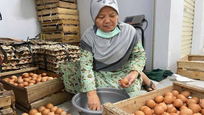 Ayam Ternak di Jetis, Ponorogo