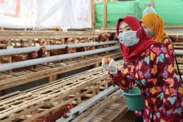 Terobosan Pemerintah Kota Pekalongan Cegah Stunting Dirikan Demplot ...