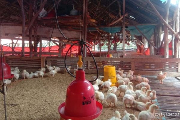 Jalan Kian Sulit Dilalui saat Musim Hujan di 3 Jorong di Lubuak Gadang ...