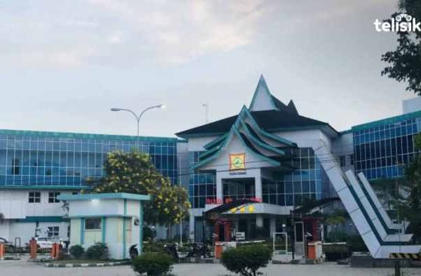 Daun penggemuk ayam di Konawe, Konawe