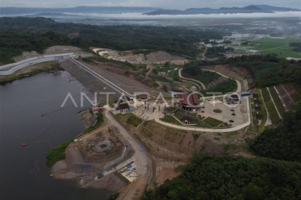 Ternak ayam petelur di Ladongi, Kolaka Timur