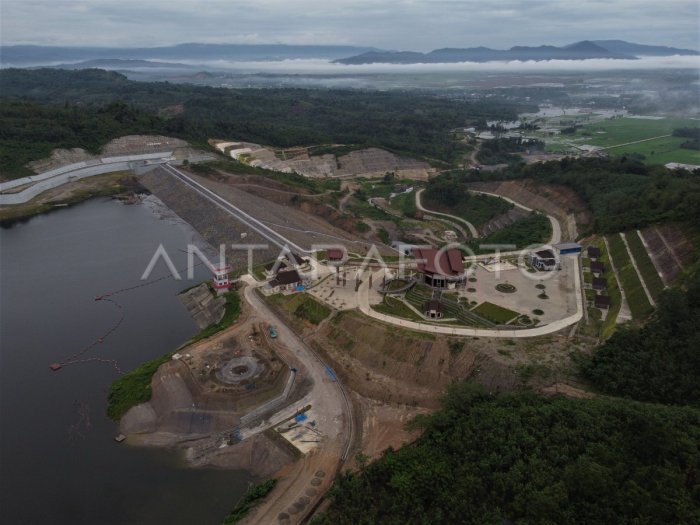 Ternak ayam petelur di Ladongi, Kolaka Timur