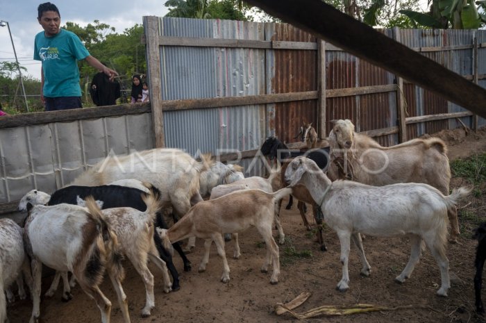 Daging kambing di Krian, Sidoarjo