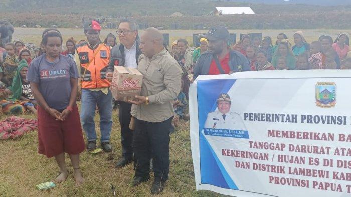 Daun penggemuk ayam di Agandugume, Kab. Puncak