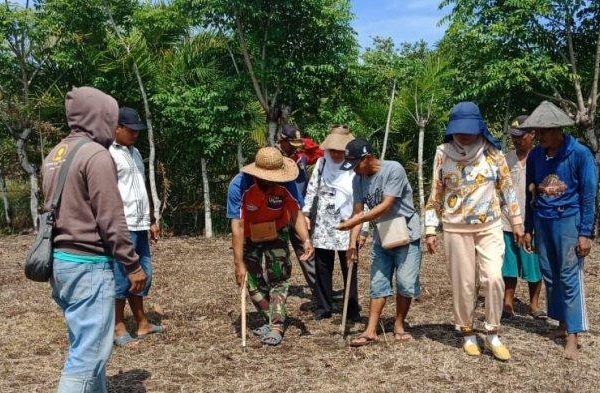 Daun penggemuk ayam di Keera, Wajo