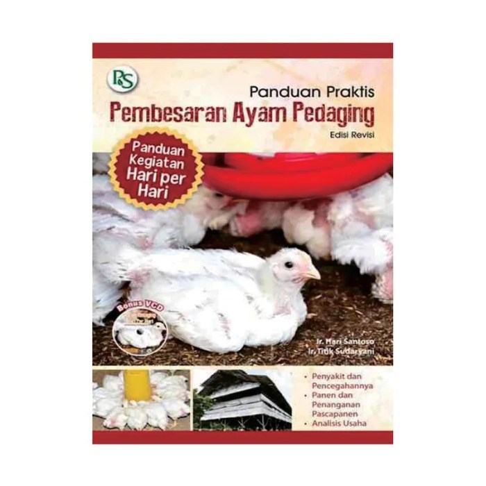 Cara Merawat Ayam Petelur, Tips Sukses Beternak - Biotifor Cara Merawat Ayam Petelur, Tips Sukses Beternak - Biotifor