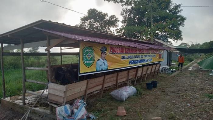 Budidaya ayam di Sungkai Tengah, Lampung Utara