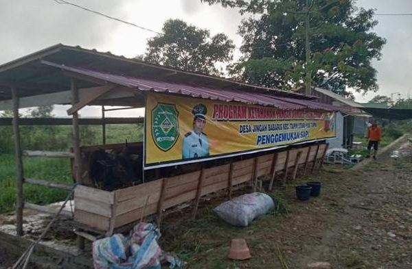 Budidaya ternak ayam di Pandanarum, Banjarnegara