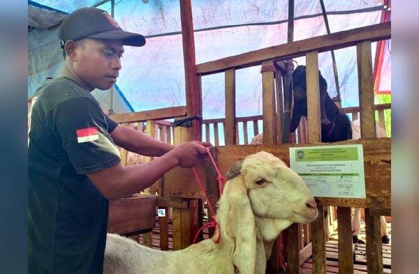 Daging kambing di Ranuyoso, Lumajang