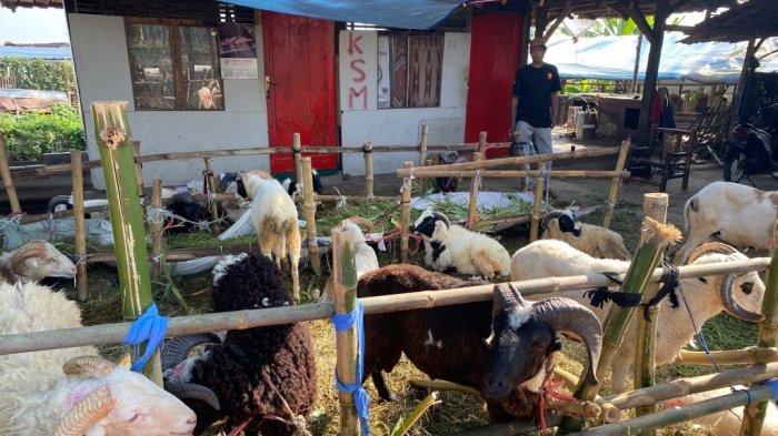 Daging kambing di Sindangbarang, Cianjur
