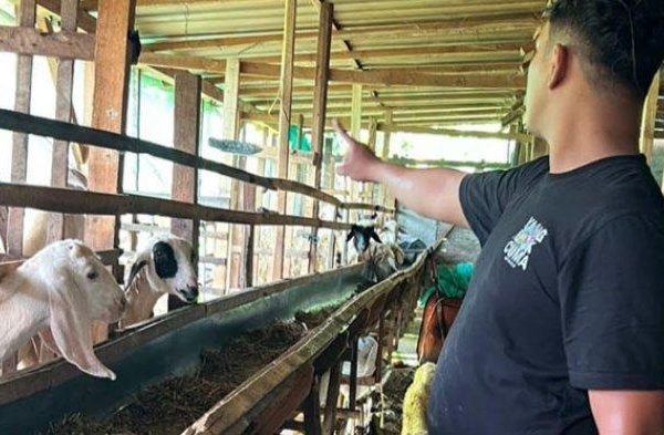 Daging kambing di Gondang, Bojonegoro
