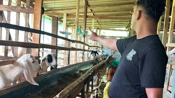 Daging kambing di Gondang, Bojonegoro