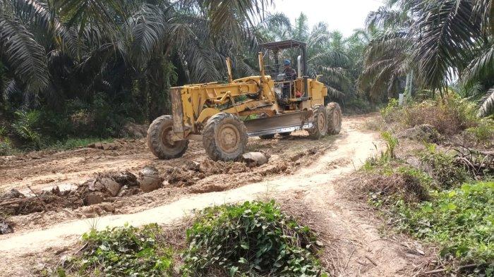 Tinjau Pembangunan Jembatan Sungai Kelabu di Sungai Bahar, DRPD Muaro ... Ayam layer di Bahar Utara, Kabupaten Muaro Jambi