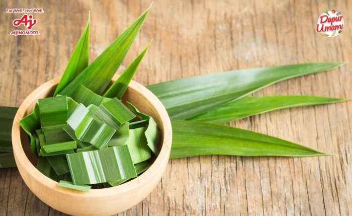 Sekilas Mirip, Ternyata Ini Perbedaan Daun Suji dan Daun Pandan - Dapur ... Daun penggemuk ayam di Wusama, Kab. Yahukimo