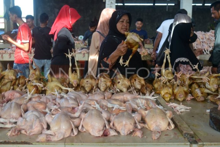 PERMINTAAN AYAM POTONG MENINGKAT JELANG RAMADHAN | ANTARA Foto PERMINTAAN AYAM POTONG MENINGKAT JELANG RAMADHAN | ANTARA Foto