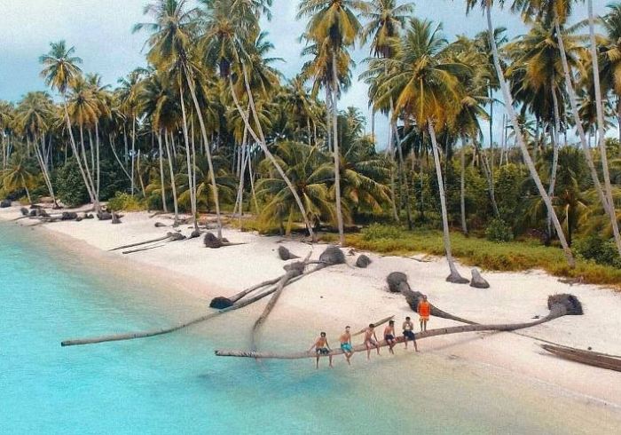 Daging kambing di Pulaupisang, Pesisir Barat