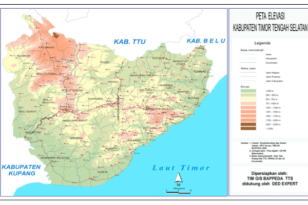 Daun penggemuk ayam di Amanuban Tengah, Timor Tengah Selatan